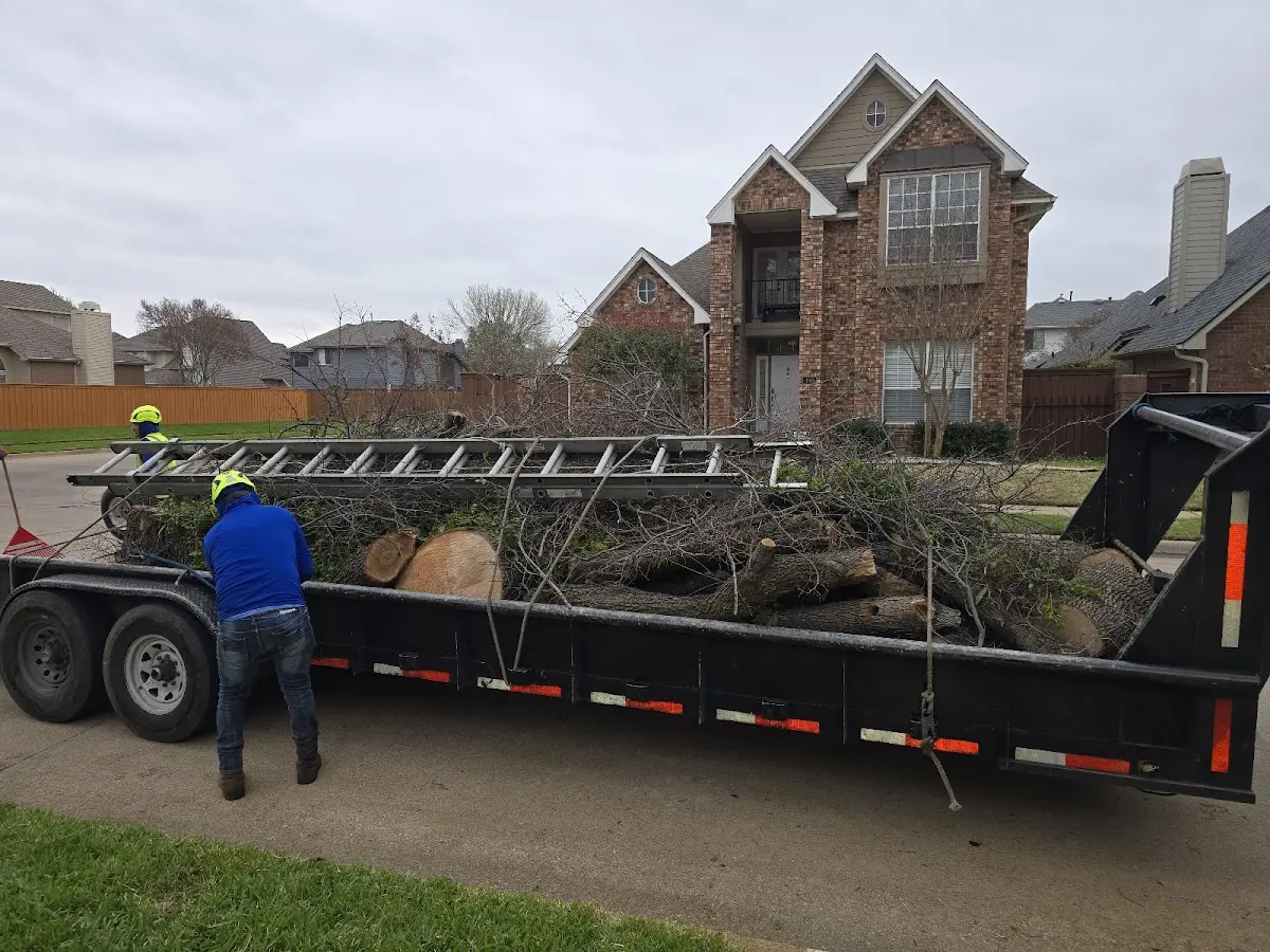 Expert Tree Pest Control with proper safety equipment in Princeville